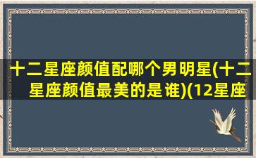 十二星座颜值配哪个男明星(十二星座颜值最美的是谁)(12星座 颜值)